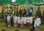 Choinka 097